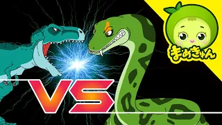 ティラノサウルス VS ティタノボア | 恐竜バトル | dinosaur battle | まめきゅん MAMEKYUNN