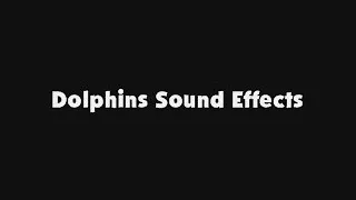 Dolphins Sound Effects