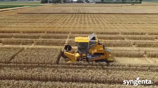 Sampo-Rosenlew 2010 proefveldcombine van Syngenta