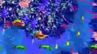 Donkey Kong Country 3 (GBA): Pacifica: Ripcurl Reef