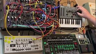 Dub Techno Jam with Roland System 500, TR-8, TB-03 and SH-01a