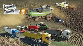 FS19 |Карта Кошмак| Уборка поля с подсолнухами 66,9Га, Fendt 9490X, Claas Lexion 7700, JD790, Scania