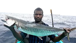 Catching King Fish, Queen Fish & Barracuda Fish in the Deep Sea