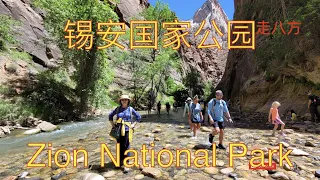 锡安国家公园(Zion National Park) 走八方 第164期 zoubafang zou ba fang