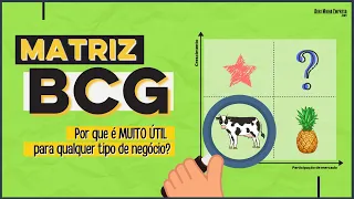 MATRIZ BCG | O Que É e Exemplos Bem Práticos