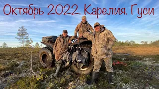 Охота на гуся. Карелия осень 2022