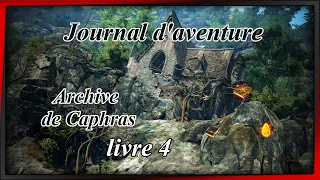 BDO - Archive de Caphras livre 4📚 ( Time Stamp )