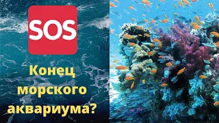 Часть 20 Конец морского аквариума?