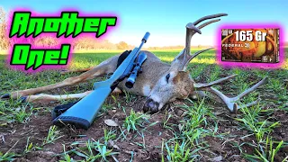Deer Hunting with the Ruger American Predator!