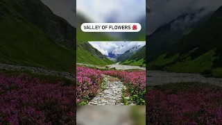 Valley of Flowers - Best Monsoon Trek #shorts #uttarakhand #incredibleindia