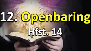 12.  Op.  hfst. 14:1-5 - Die 144 000 merkwaardige diensknegte van God.