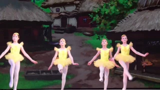 Ballet Ugly Duckling