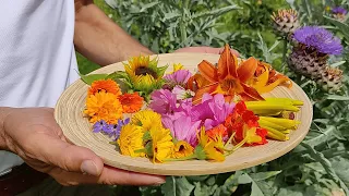 Die besten essbaren Blüten  die in keinem Garten fehlen dürfen 🌺🌻 🌸 und die exotische ✨ PARAKRESSE ✨