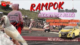 LOMBA MERPATI NASIONAL | RAMPOK MERAMPOK JUARA DI LAPAK NEW FIGHTER BANTENG SEMARANG