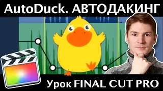 FCPX AutoDuck. АВТОМАТИЧЕСКОЕ снижение громкости фоновой музыки в FInal Cut