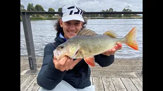 Fishing in Melbourne's MOST pressured Redfin Lake