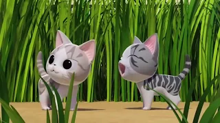 Kartu Lucu | Film Kartun Kucing Lucu