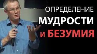 Определение мудрости и безумия. Александр Шевченко