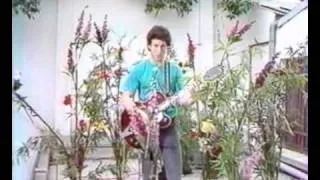 Jonathan Richman on french TV 1982