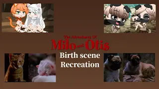 The Adventures of Milo and Otis | Birth Scene Recreation | Gacha Club