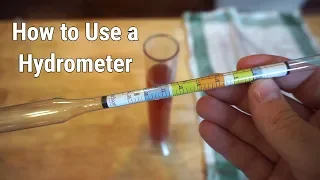 How to Use a Hydrometer for Winemaking