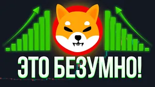 СОЗДАТЕЛЬ ШИБА ИНУ СООБЩИЛ ОГРОМНУЮ НОВОСТЬ!