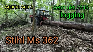 Zetor ukt 7245 - těžba dřeva, Agama aga 2, Stihl Ms 362, mechanický klín, @jpforest8882