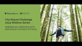 City Nature Challenge 2024 Series: #3 - Observing with iNaturalist in Forest Settings