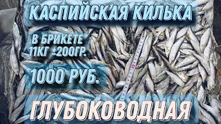 Каспийская глубоководная килька