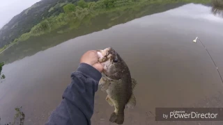 Rattlesnake encounter while FISHING 🎣for BASS and CRAPPIE at COYOTE LAKE #GOPRO 📷