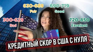 КРЕДИТНАЯ ИСТОРИЯ В США//ПЕРВЫЕ ШАГИ//СОВЕТ СПЕЦИАЛИСТА