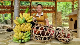 Full video: Harvest Pears, Grapefruits, Bananas, Chickens, Melons, Persimmons Go to market to sell