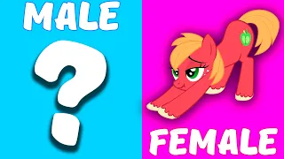 Gender Swap Edit Animation - MY LITTLE PONY Characters | My Little Pony Con Genero Opuesto