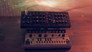 Behringer TD-3 MO & Model D - Techno Performance