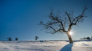 Красивая, фортепианная музыка для души! David Nevue - Winter Walk