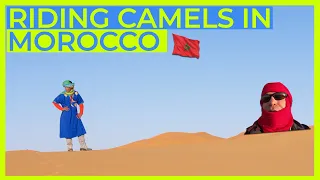 Tips for Riding Camels 🐪 in the Sahara Desert 🇲🇦