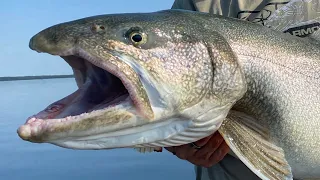 THE DO'S & DO NOTS OF LAKE TROUT FISHING (From A Guides Point of Veiw) #fishingtipsandtechniques