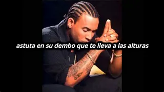 Don Omar | Salvaje (Letra). (2004)