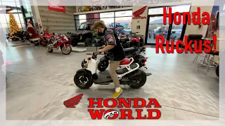 Honda Ruckus- On and Off-Road Scooter, 50cc and indestructible!