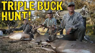 3 GIANT Texas Whitetails SMACKED!