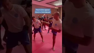 How to kick against block with Zsolt Moradi - learn from the best 💪 #kickinglesson #shorts