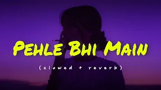 ANIMAL:Pehle Bhi Main(slowed + reverb) | Ranbir Kapoor,Tripti Dimri |Sandeep V |Vishal M,Raj