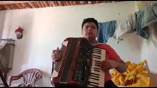 O Milionário - Os Incríveis - Cover acordeon