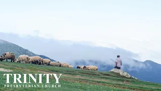 "Trauma & Healing: The Lord Our Shepherd, Part 3" | Psalm 23