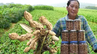 From seed to harvest: Growing, processing and preserving to provide year-round nutrition PEANUT JAM