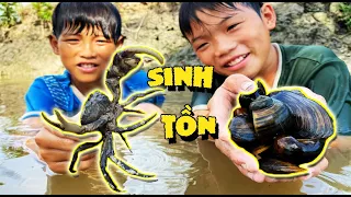 Anh Ba Phải | Sinh Tồn Ngoài Đồng Mò Cua Bắt Cá Hái Trái Sống Qua Ngày |  Survival Challenge