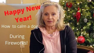 How to keep your dog calm during New Years Fireworks! - Happy 2021 New Years!