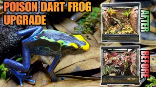 UPGRADING MY POISON DART FROG TERRARIUM + BIG SURPRISE SNEAK PEEK!