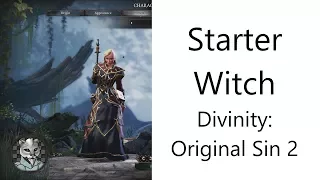 ✅ Basic Starter Witch in Divinity: Original Sin 2