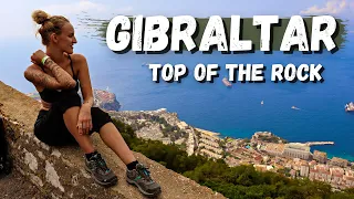 The Rock of Gibraltar Monkeys | BEST Things to do in Gibraltar  | Top of the Rock Gibraltar